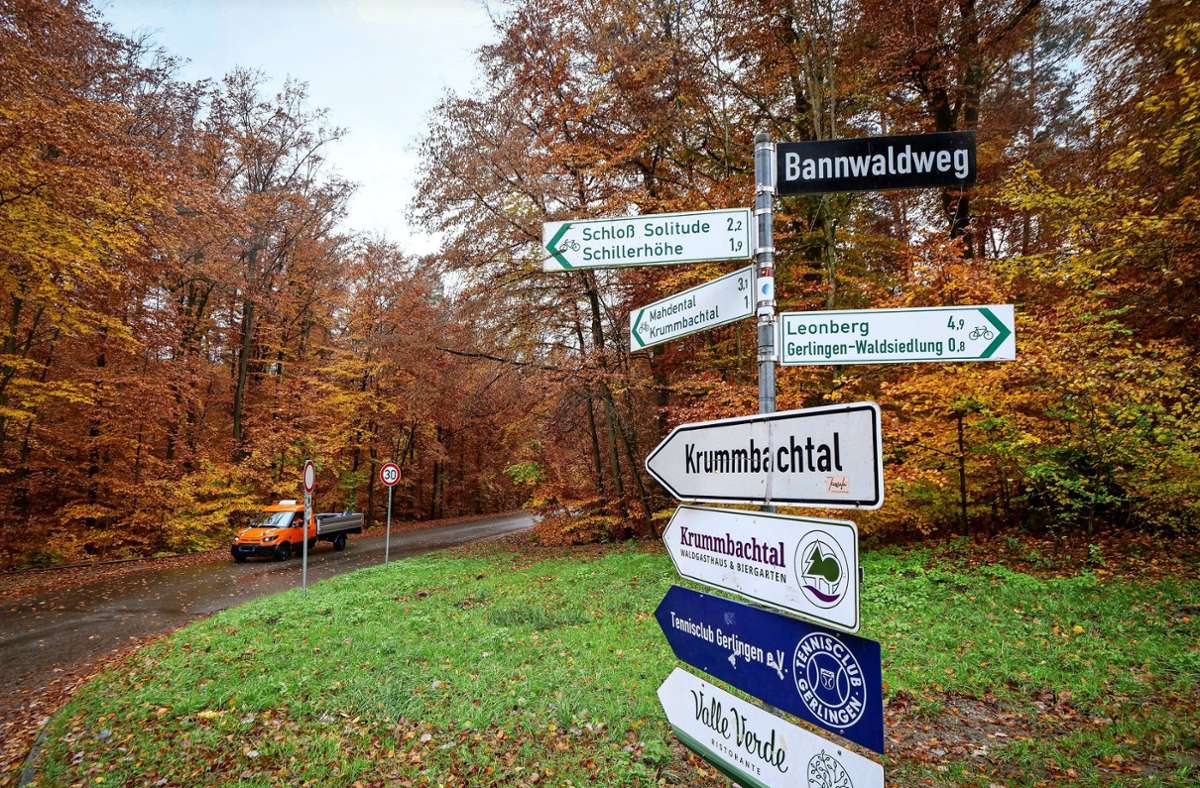 Im Krummbachtal –  am Waldparkplatz –  ist der Ausgangspunkt des neuen  Lehrpfads. Dieser soll Kinder und Erwachsene gleichermaßen ansprechen. Foto: Simon Granville