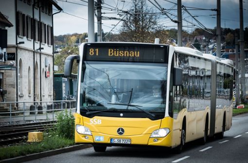 Zusätzliche Busse soll es in der Pandemie auch weiterhin geben (Symbolbild). Foto: Lichtgut/Achim Zweygarth