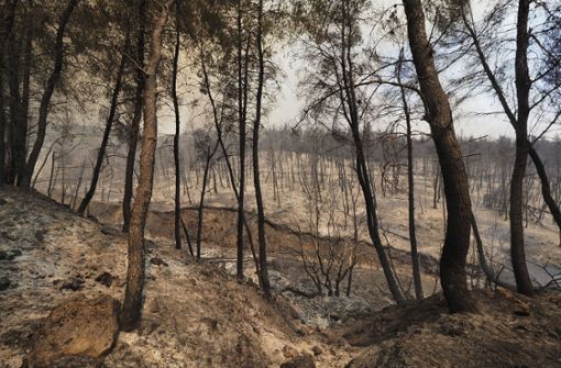 Waldbrände in Griechenland – die Folgen des Klimawandels sind bereits spürbar, werden laut IPCC aber weit schlimmer, wenn nicht bald was unternommen wird. Foto: dpa/Thodoris Nikolaou