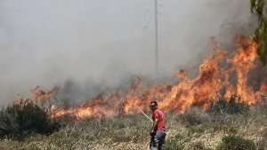 Die Griechen kämpfen gegen Waldbrände. Foto: dpa