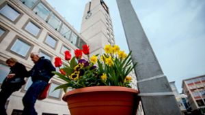 Der Marktplatz soll schöner werden: eine Blumenspende von Stadtrat Fritz Currle. Foto: Lichtgut/Leif-H.Piechowski