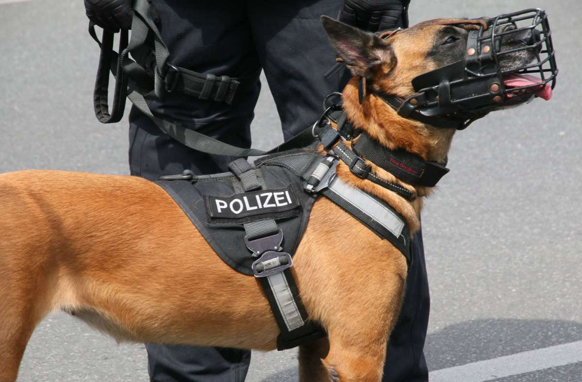 Ein Polizeihund brachte den renitenten Mann zur Räson. Foto: imago images/Rolf Kremming