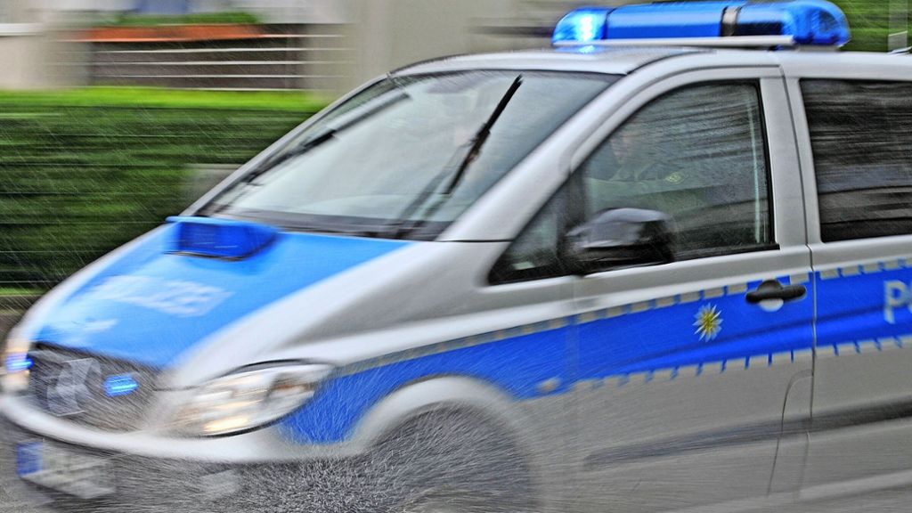 Remseck-Neckarrems: Kinder bei Karussellunfall verletzt