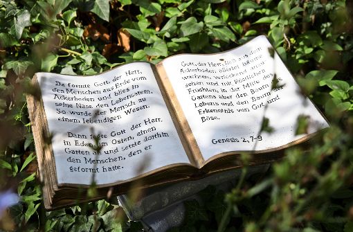 Der  Bibelgarten wächst seit elf Jahren heran. Er  zeigt  eine umfangreiche Pflanzenpalette von Akanthus bis Zeder. Foto: Frank Eppler