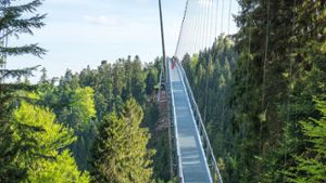 Der Nördliche Schwarzwald: Höhenluft und Flussradwege