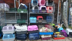In diesen Transportboxen hausten die über 100 Kaninchen, die die Polizei in der völlig heruntergekommenen Wohnung einer Frau in Stuttgart-Ost entdeckt hat. Foto: Tierschutzverein Stuttgart