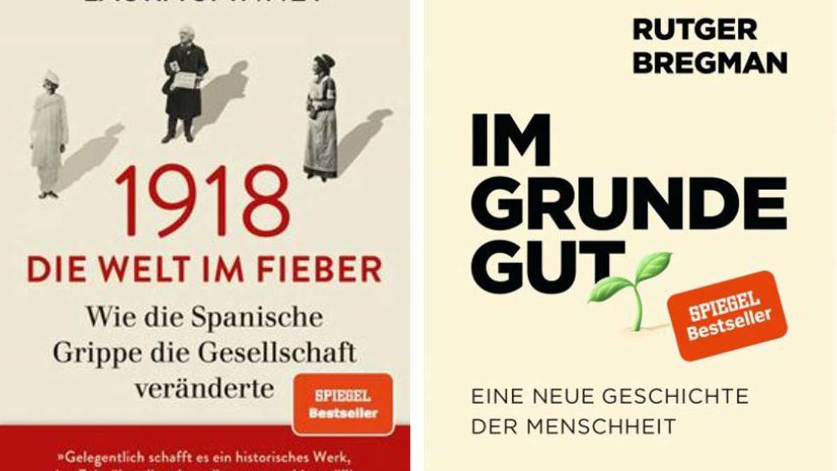 Markus Reiters Bestseller-Kolumne: Der Mensch ist gut, das Virus böse