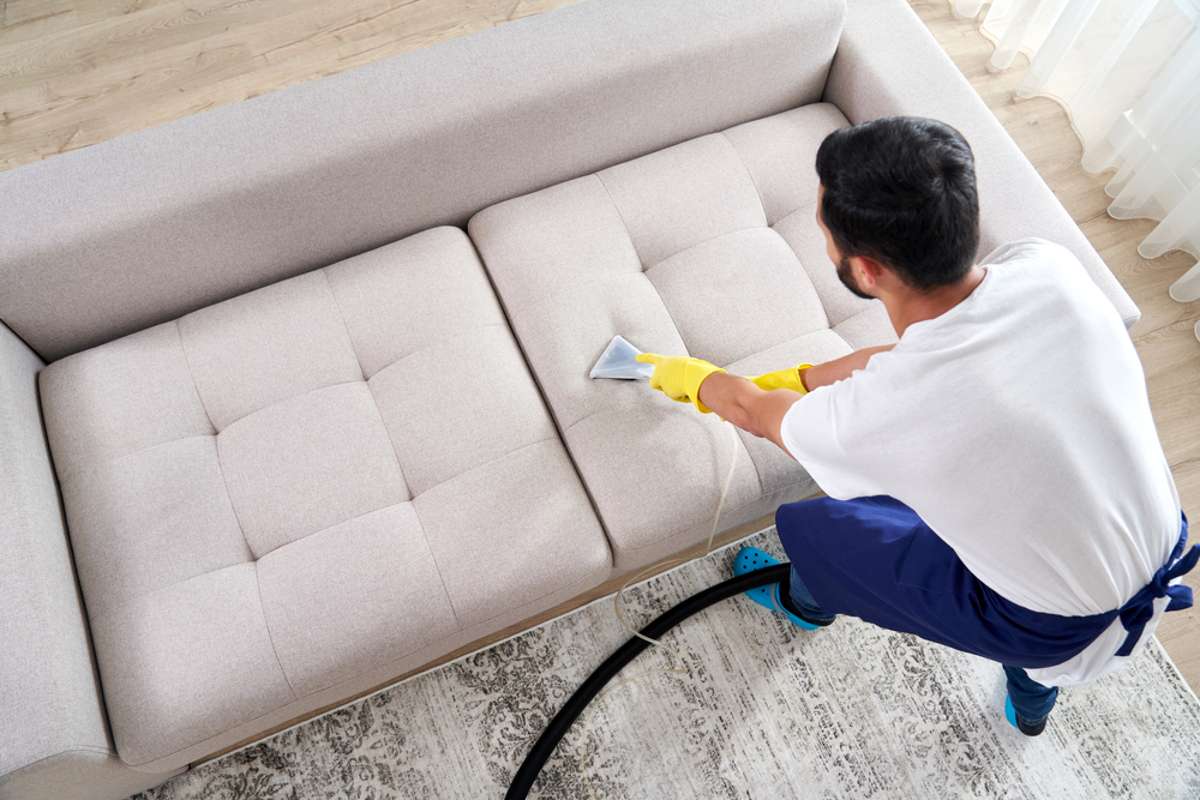 Чем почистить диван от запаха