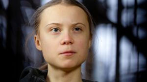 Greta Thunberg warnt vor weiteren Extremwettern. Foto: dpa/Virginia Mayo