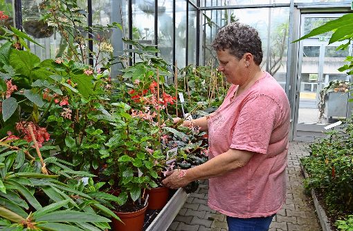 Wenn Pflanzen einfach nicht wachsen wollen, spricht Karin Bühler hin und wieder auch mit ihnen. Foto: Wiebke Wetschera