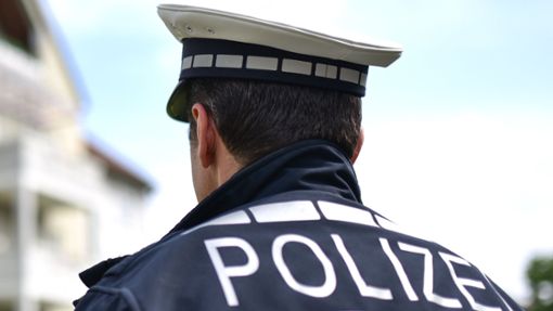 Die Mannheimer Polizei steht in der Kritik für einen Einsatz, bei dem ein Mann gestorben ist. Foto: dpa/Uwe Anspach