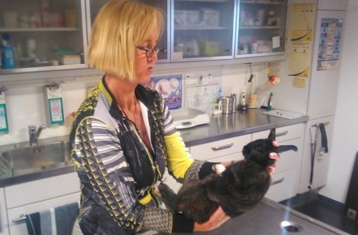 Um ihre tierischen Patienten zu beruhigen, hat Birgit Drescher einen Trick: Sie versetzt die Tiere mit einem Betäubungsgas in einen Schlummer. Foto: Rehman