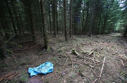 In einem Waldstück im Saale-Orla-Kreis bei Rodacherbrunn (Thüringen) sind Skelettteile von Peggy gefunden worden. (Archivfoto) Foto: dpa