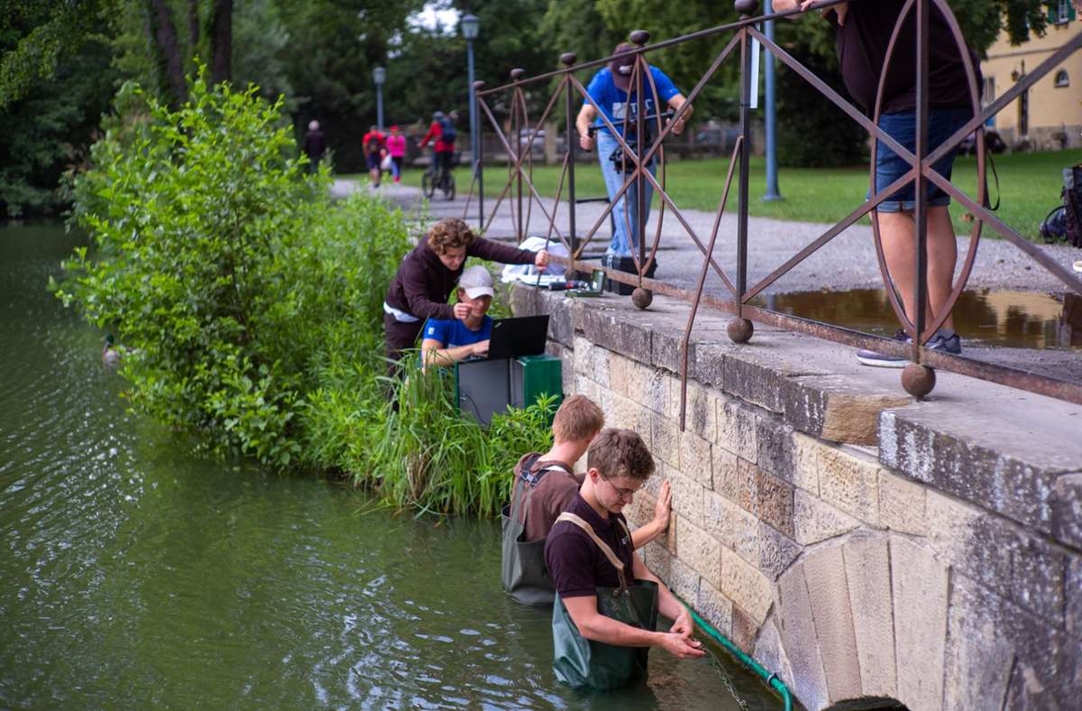 Studenten haben beim Schloss im See Sensoren installiert, die die Wasserqualität messen.