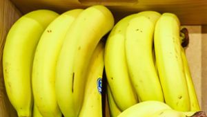 Hochgiftige Bananenspinnen legen Einkaufsmarkt lahm
