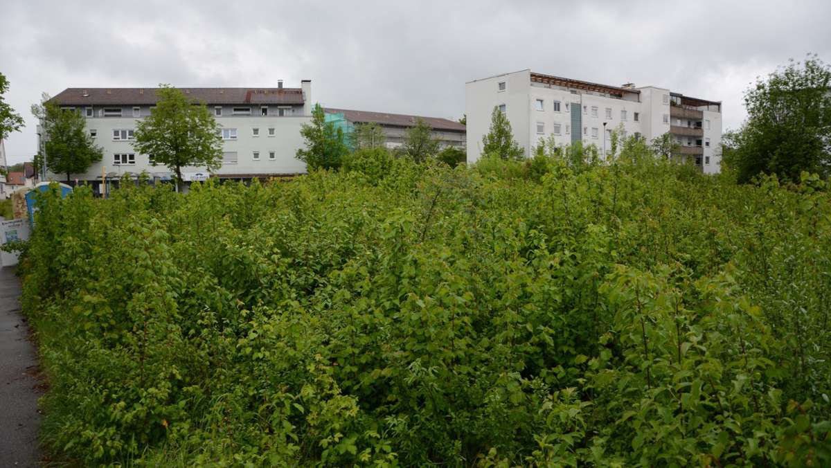 Neues Pflegeheim in Leinfelden: Die Anwohner bleiben skeptisch