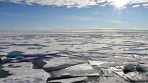 „Es wird mehr Konflikte in der Arktis geben“