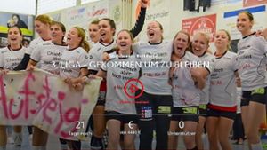 Die Startseite der Crowdfunding-Aktion der SG Schozach-Bottwartal – ab 22. Juni wird gesammelt. Foto: toyota-crowd.de