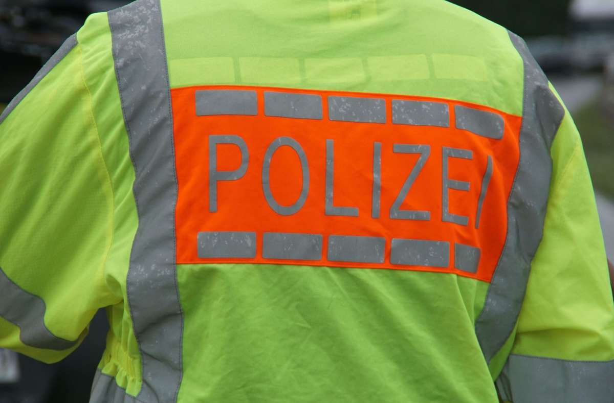 Jede Menge zu tun gab es am Donnerstag für die Polizei in Ludwigsburg (Symbolbild). Foto: SDMG/SDMG / Gress