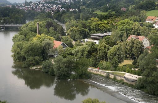 Das Neckarufer bei der Fischtreppe ist ein sensibler Bereich. Um dessen Zukunft wird heftig gerungen. Foto: Horst Rudel