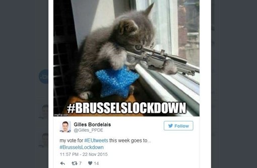 Auf Twitter tauchten Bilder von Katzen mit Waffen unter dem #Brusselslockdown auf. Foto: Screenshot Twitter / Gilles Bordelais