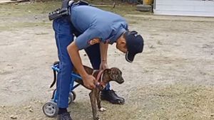 Polizist schenkt Hund „Tiger“ neuen Lebensmut