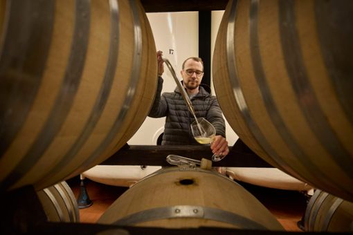 Der StZ-Chardonnay hat Matthias Aldinger schon bei der Fassprobe Ende Januar überzeugt. Foto: Gottfried Stoppel