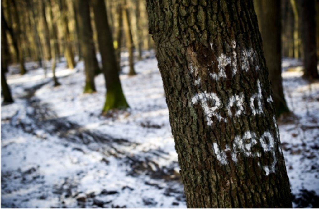 Die Esslinger Nordschleife ist für Mountainbiker gesperrt worden. Foto: Max Kovalenko