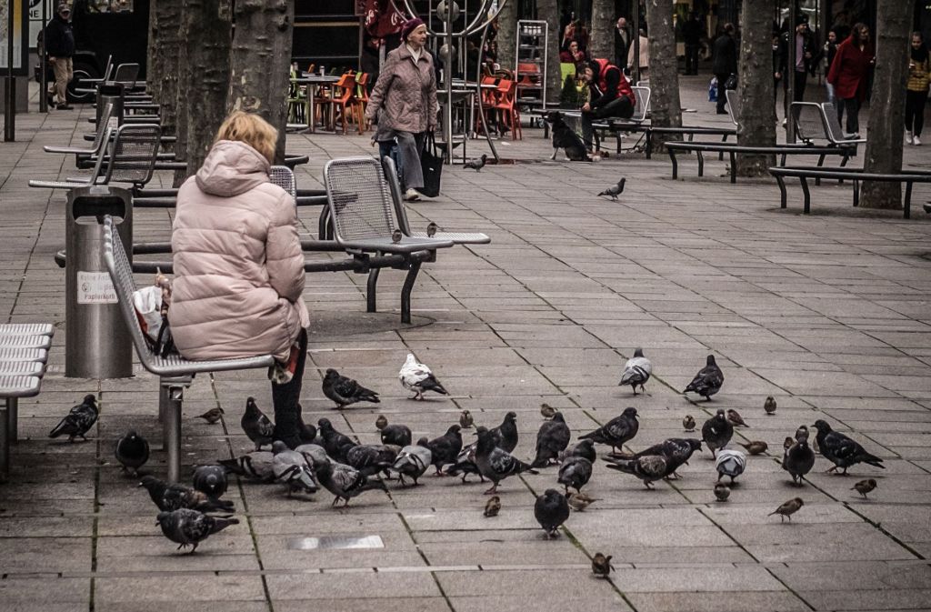 Im Alltag gelten Tauben vielerorts als Plage. Foto: Lichtgut/Max Kovalenko