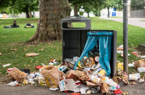 Überquellende Mülltonnen gehören im Sommer zu Ärger vieler Bürger zum Stadtbild dazu. Foto: Lichtgut/Max Kovalenko