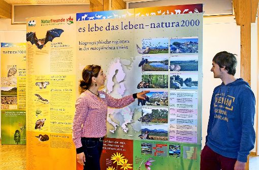Organisatorin Saskia Lange  und Lukas Härter, der in Schopfloch sein ökologisches Jahr leistet, erläutern die Ausstellung. Foto: Horst Rudel