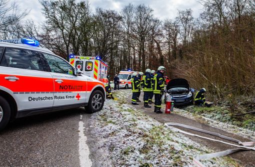 Die Feuerwehr musste der Fahrerin aus dem Auto helfen. Foto: /Karsten Schmalz