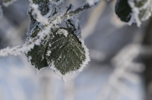 In Teilen Baden-Württembergs rechnen Meteorologen am Wochenende mit  Schnee (Symbolbild). Foto: IMAGO/Bernd Leitner/IMAGO/Bernd Leitner