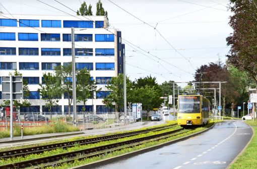 Die Bürgerinitiative wünscht sich, dass – wie hier im Synergiepark – der neue Gleiskörper der Übereckverbindung Pflugmühle in Möhringen begrünt wird. Foto: Sandra Hintermayr