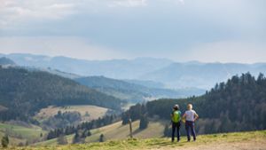 Schwarzwald-Besucher sollen „Umwelteuro“ bezahlen
