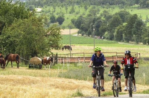 Mit dem Fahrrad lässt sich die Landschaft im Kreis ganz sportlich erkunden, und nebenbei erfährt man noch allerhand über die Landwirtschaft. Foto: factum