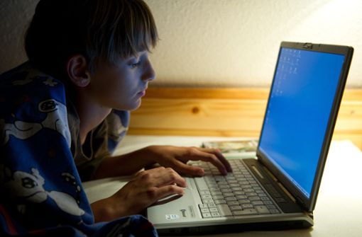 Ziel sei es, Eltern und Betreuer in die Lage zu versetzen, mit Kindern über die Gefahren, die im Internet lauern, zu sprechen. Foto: dpa/Patrick Pleul