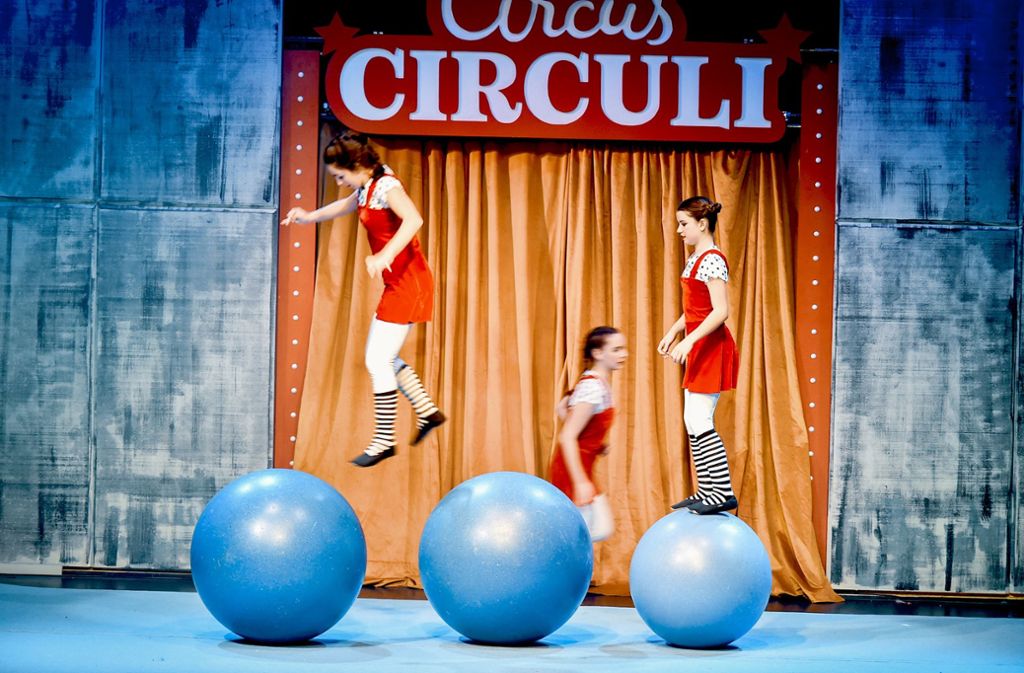 Beim Circus Circuli soll Akrobatik vor allem auch Spaß machen. Foto: Ferdinando Iannone