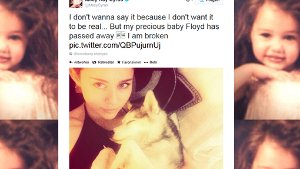 US-Sängerin Miley Cyrus trauert um ihren Hund Floyd. Foto: twitter.com/MileyCyrus