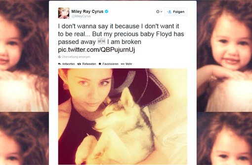 US-Sängerin Miley Cyrus trauert um ihren Hund Floyd. Foto: twitter.com/MileyCyrus