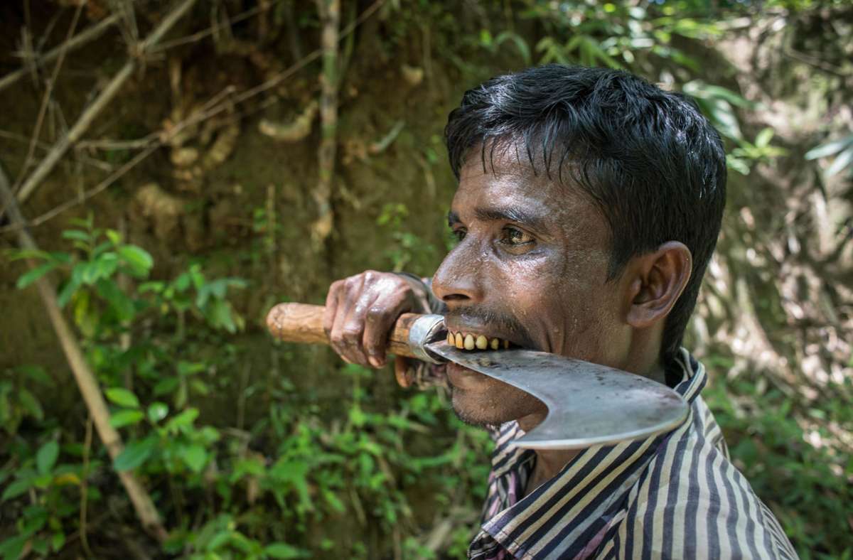 „Bamboo Stories ist ein Dokumentarfilm über das harte Leben der Holzfäller und Flößer in Bangladesch.