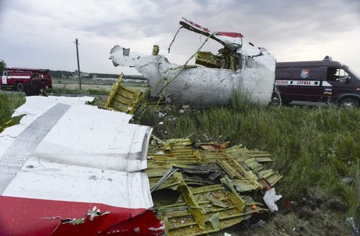 Noch immer sollen mehrere große Wrackteile an der Absturzstelle der MH17 herumliegen. Foto: EPA