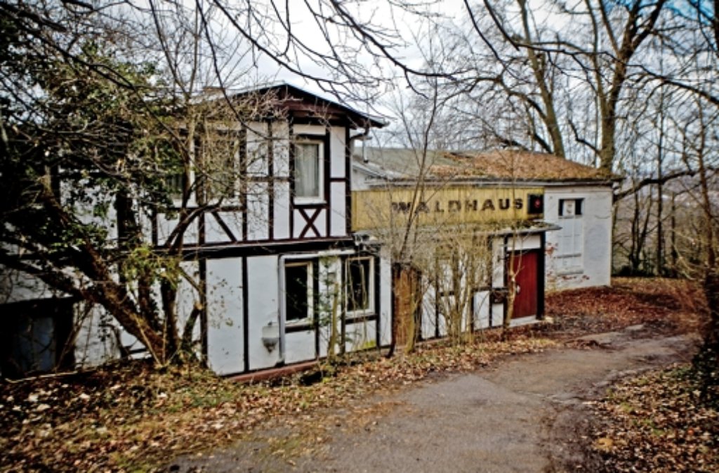 Von außen betrachtet sieht das leerstehende Waldhaus relativ klein aus – das 600 Quadratmeter umfassende Gebäude ist in den Hasenberg hineingebaut.