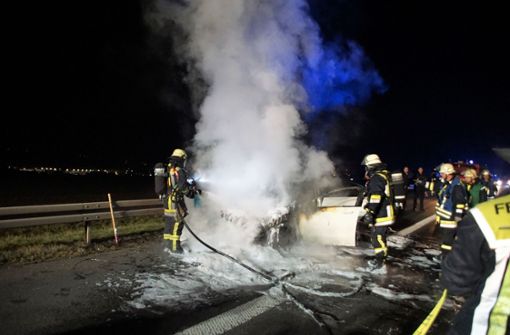 Einsatzkräfte der Feuerwehr und der Autobahnmeisterei rückten zu dem Vorfall aus. Foto: SDMG