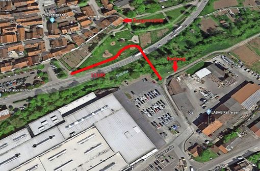 Die rote Linie stellt den vorgesehenen Verlauf der Seilbrücke über Bottwar und L1100 dar. Foto: GoogleMaps/Hennings