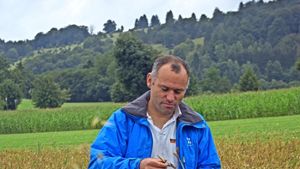 Der Bioland-Bauer Wilfried Straub prüft, ob seine Lupinen schon reif zum Dreschen sind. Foto: red