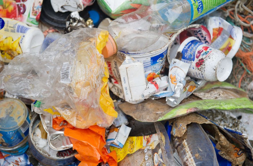 Allein in der EU entstehen jedes Jahr rund 26 Millionen Tonnen Plastikmüll, von denen weniger als 30 Prozent zur Wiederverwertung gesammelt werden. Der Rest landet größtenteils auf Müllkippen oder in der Umwelt.