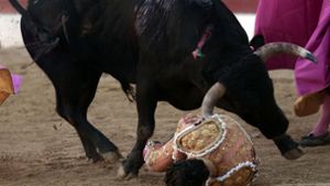 Stierkämpfer wird von Bullen aufgespießt und tödlich verletzt