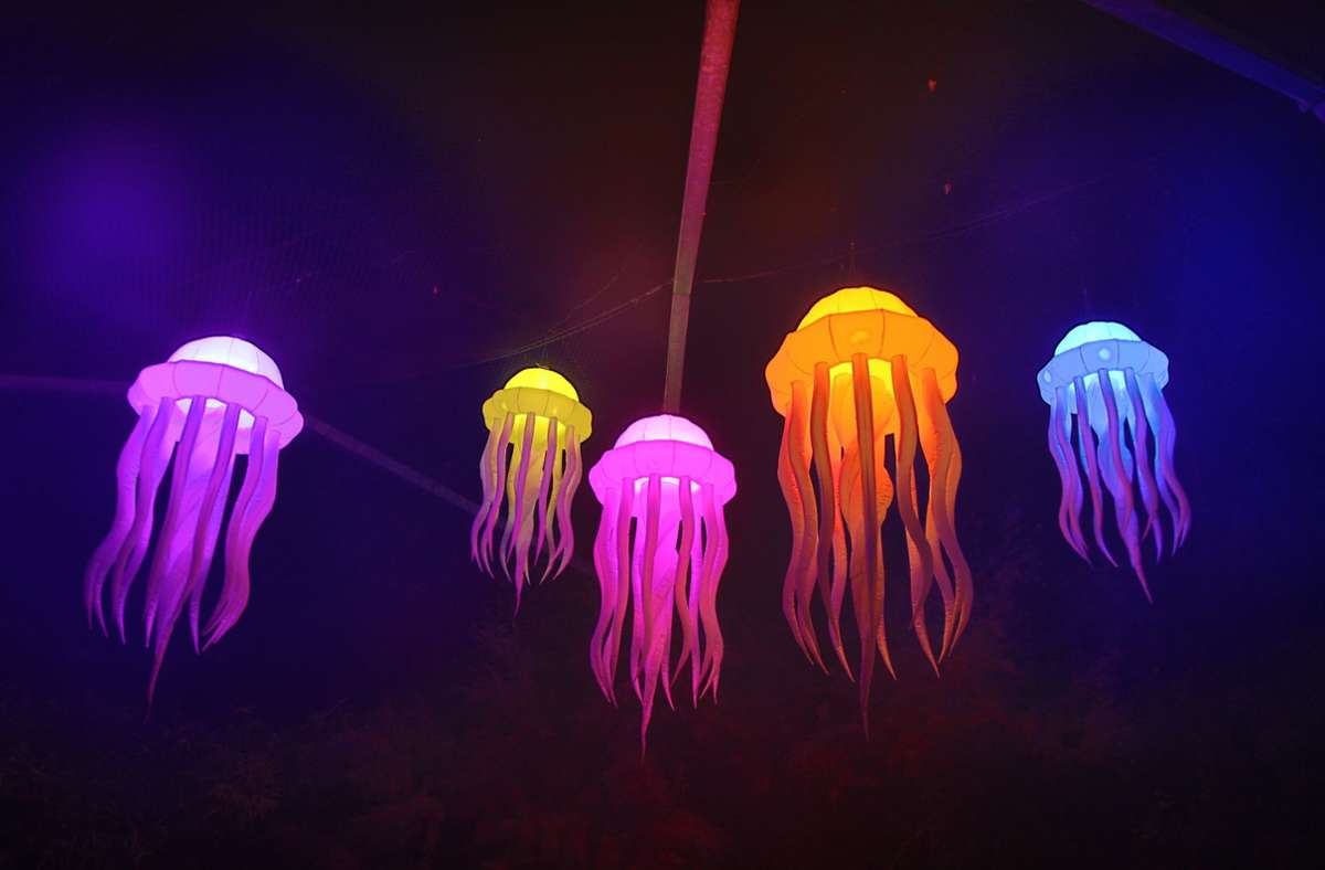 Was schwebt denn da? Die „Leuchtenden Traumpfade“ sind an die Kürbisausstellung (Thema „Unterwasserwelt“) angelehnt.