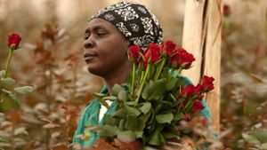 Warum Fairtrade beim Blumenkauf wichtig ist